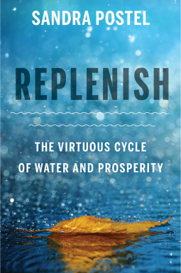 book cover for Replenish
