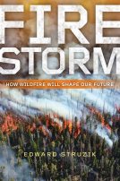 book cover for Firestorm