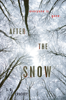 book cover for After the Snow