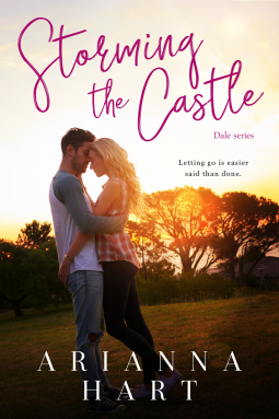 book cover for Storming the Castle