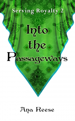 book cover for Into the Passageways
