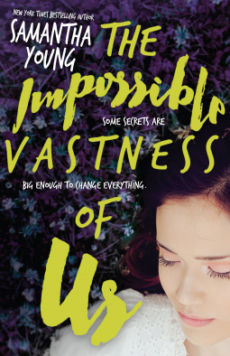 book cover for The Impossible Vastness of Us