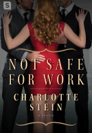 book cover for Not Safe for Work