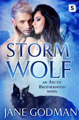 book cover for Storm Wolf