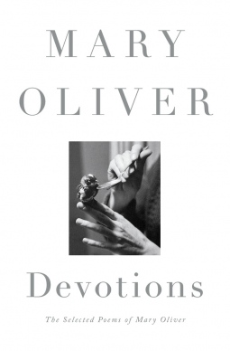 book cover for Devotions