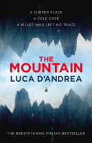 book cover for The Mountain