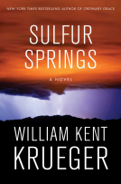 book cover for Sulfur Springs