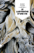 Couverture du livre pour Le Labyrinthe d'une vie