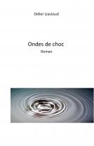 Couverture du livre pour Ondes de choc