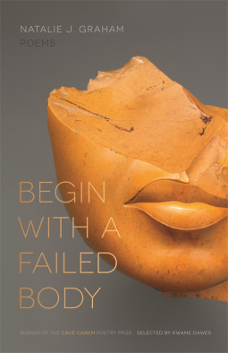 book cover for Begin with a Failed Body