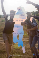 book cover for A Void the Size of the World