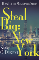 book cover for Steal Big: New York