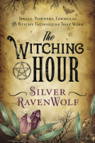 book cover for The Witching Hour