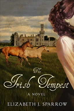 book cover for The Irish Tempest
