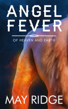 book cover for Angel Fever
