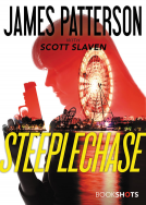 book cover for Steeplechase