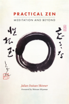 book cover for Practical Zen