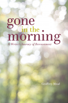book cover for Gone in the Morning