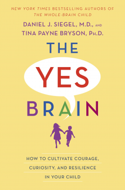 book cover for The Yes Brain