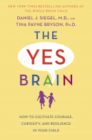 book cover for The Yes Brain