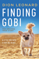 book cover for Finding Gobi