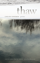 book cover for Thaw
