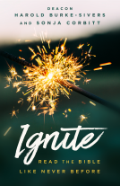 book cover for Ignite