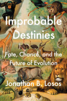 book cover for Improbable Destinies