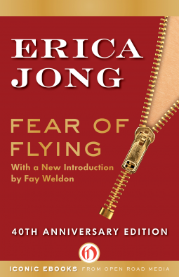 book cover for Fear of Flying