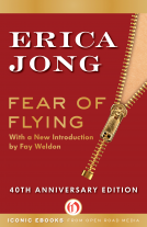 book cover for Fear of Flying