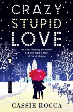 book cover for Crazy Stupid Love