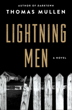 book cover for Lightning Men
