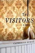 book cover for The Visitors
