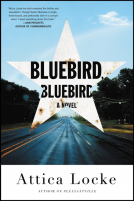 book cover for Bluebird, Bluebird