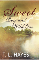 book cover for Sweet Boy and Wild One