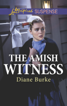 book cover for The Amish Witness