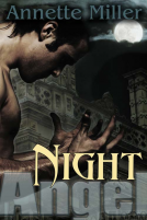 book cover for Night Angel