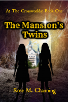 book cover for The Mansion's Twins