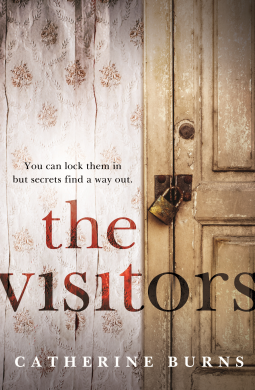book cover for The Visitors