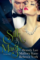 book cover for Silk and Magic