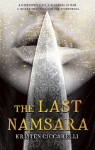 book cover for The Last Namsara
