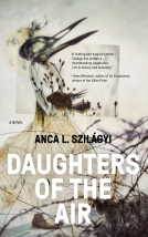 book cover for Daughters of the Air