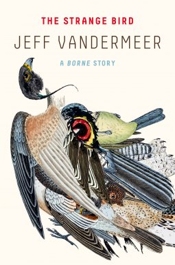 book cover for The Strange Bird