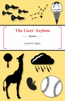 book cover for The Liar's Asylum