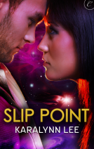 book cover for Slip Point