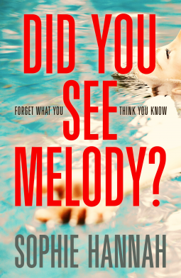 book cover for Did You See Melody?