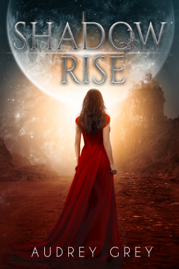 book cover for Shadow Rise