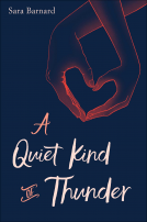 book cover for A Quiet Kind of Thunder