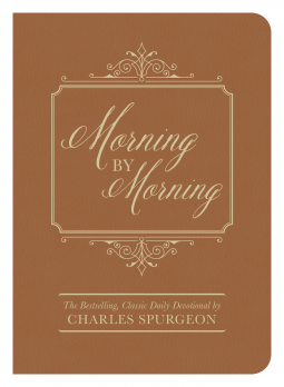 book cover for Morning by Morning