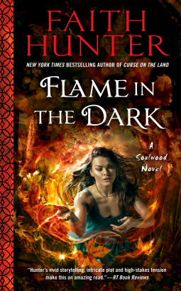 book cover for Flame in the Dark